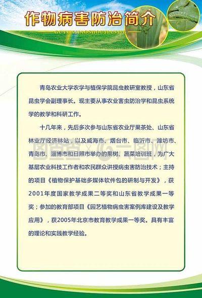展板設(shè)計模板 昆蟲防圖片